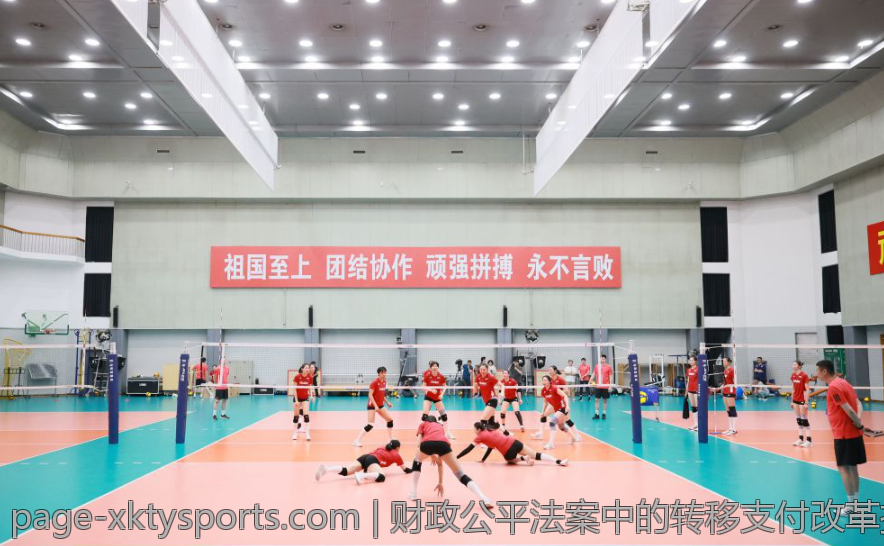 财政公平法案中的转移支付改革探讨